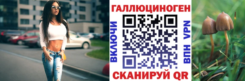 купить наркотик Яблоновский Псилоцибиновые грибы GOLDEN TEACHER